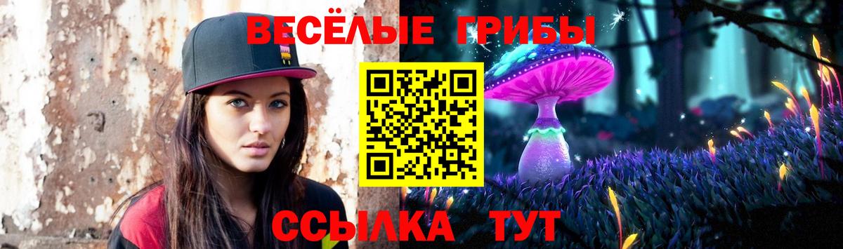 Галлюциногенные грибы Magic Shrooms  Вход с VPN  Галлюциногенные грибы Psilocybine cubensis  Сланцы 